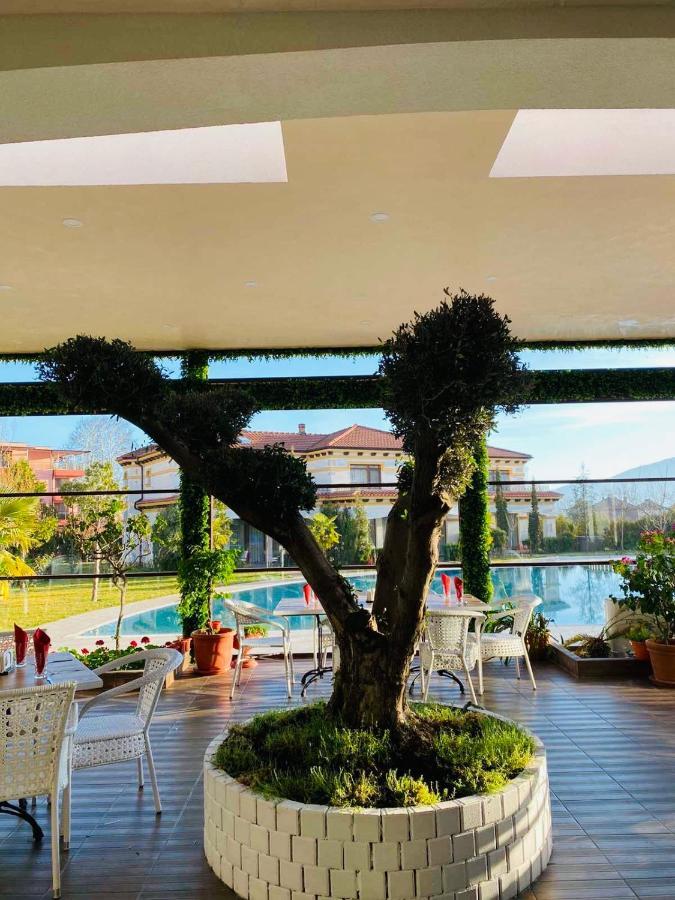 Paradise Ognyanovo (Blagoevgrad)